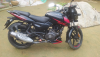 Pulsar double disc 2021